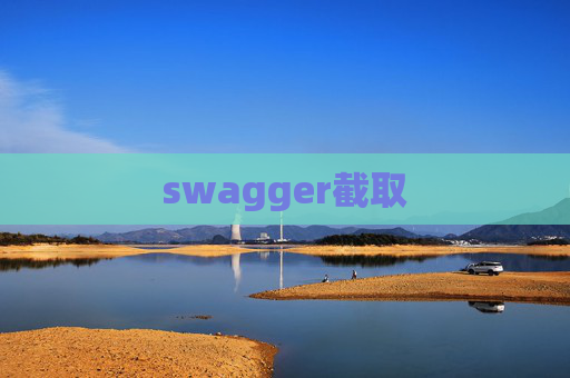 swagger截取
