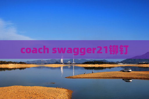 coach swagger21铆钉